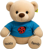 72 Pieces 40 cm Brown Teddy Bears with Blue T-Shirt (Cuddly Plush Soft Toy for Kids)