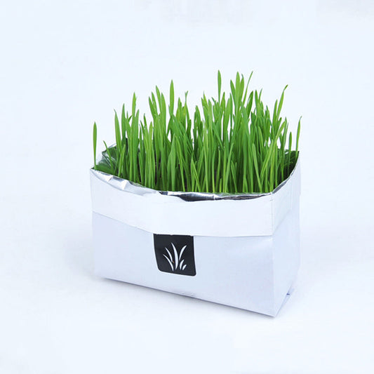 Eco-Friendly Indoor Plant Growing Kit with Biodegradable Packaging