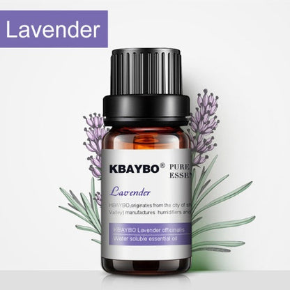 Natural Aromatherapy Essential Oils Set - Eco-Friendly Glass Bottles