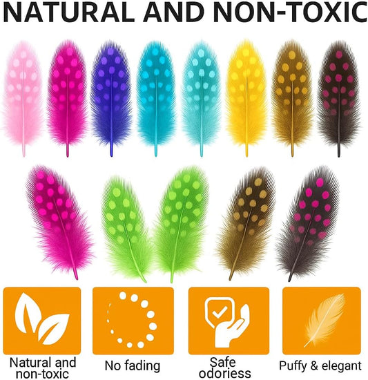 Feathers 12 PC Mix Color for Crafts, DIY Projects, Decorations, and Costumes
