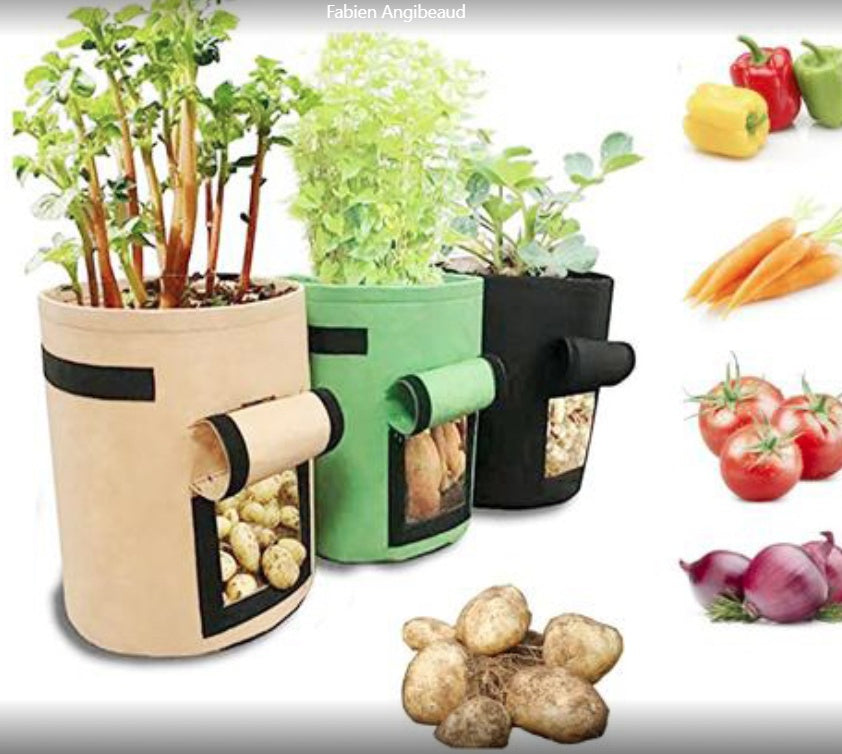 Eco-Friendly Fabric Grow Bags for Sustainable Gardening