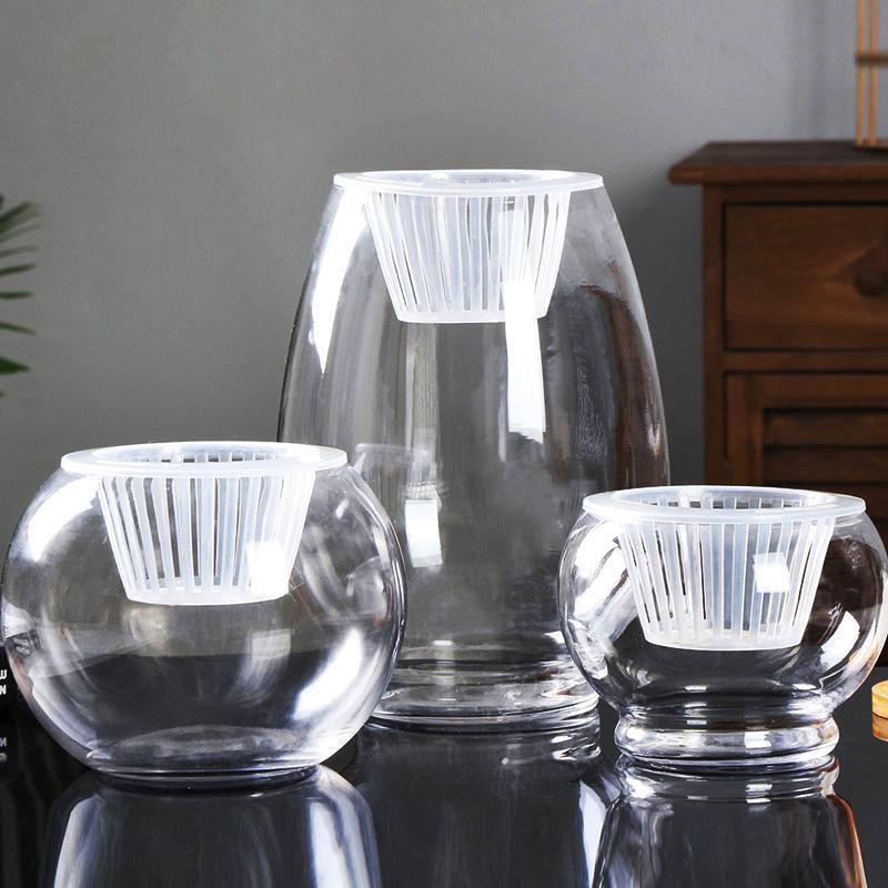 Hydroponic Plant Vase - Clear Round Glass for Soil-Free Indoor Gardening