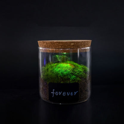 Eco-Friendly Glass Containers with Cork Lids for Sustainable Living