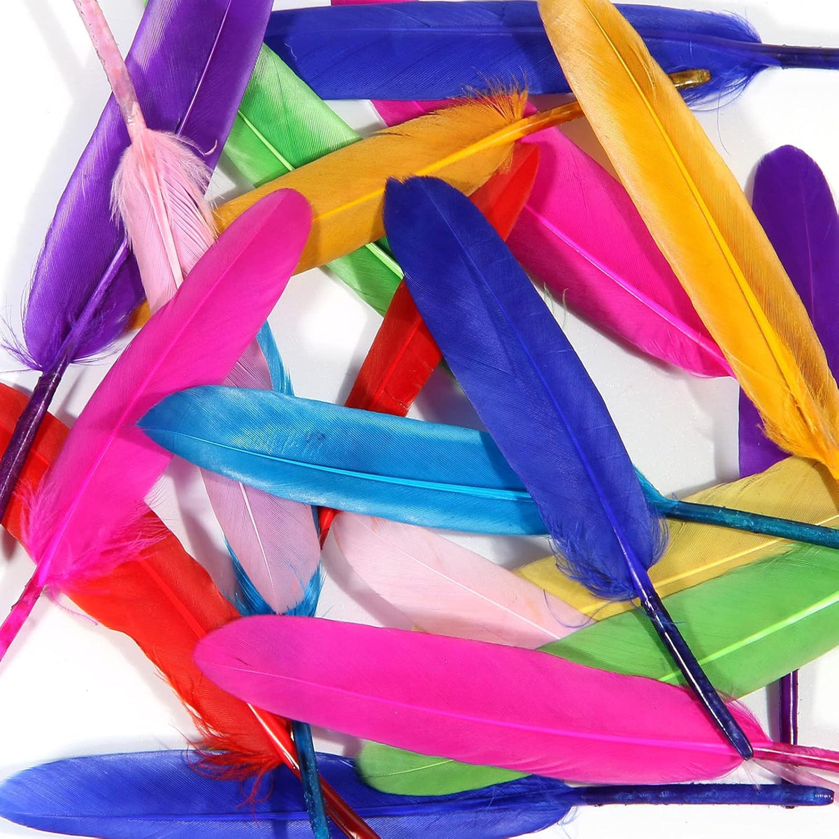144 Pieces Feathers 10 PC Mixes for Crafts (DIY Projects – Decorations – and Costumes)