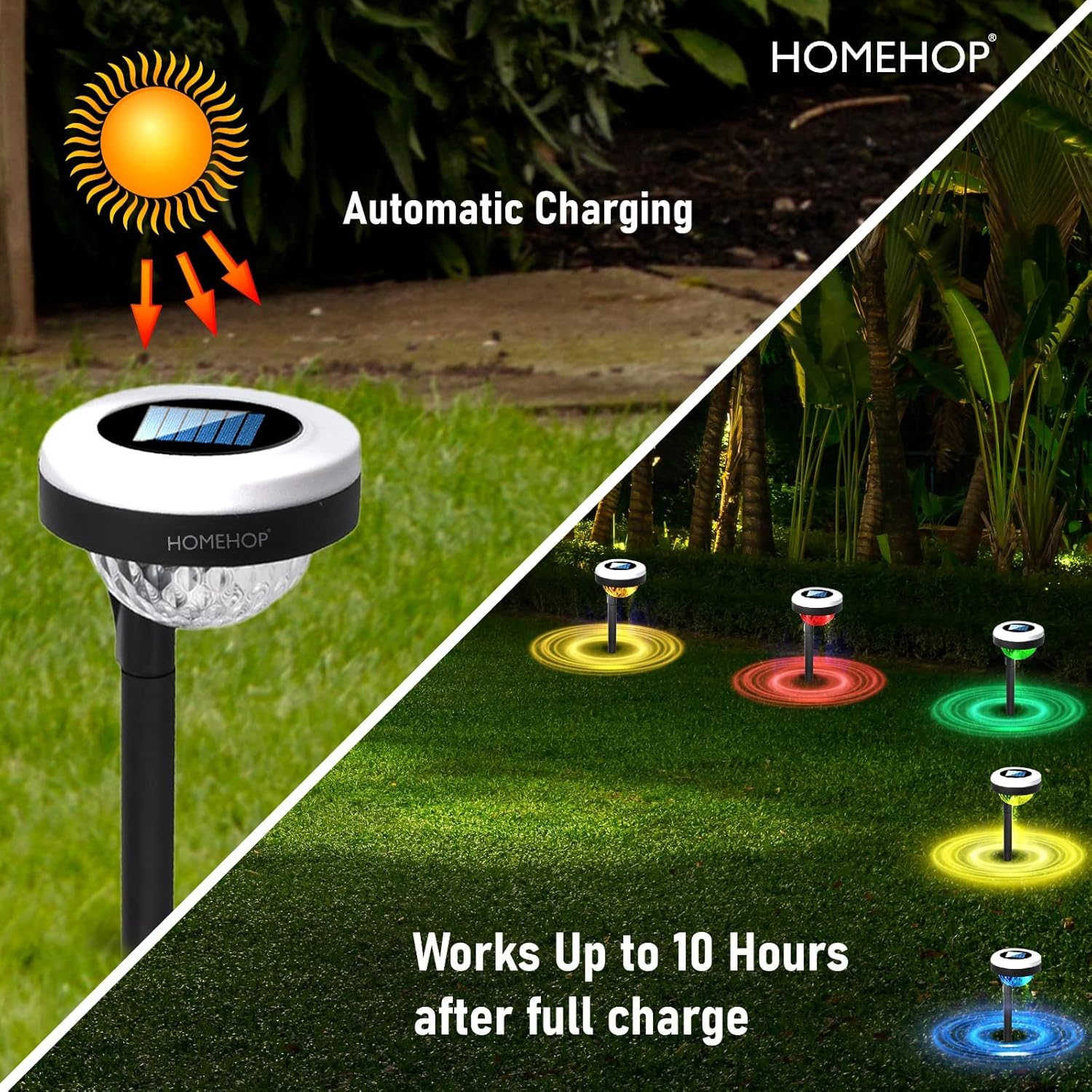 96 Pieces Solar Garden Lights Outdoors (Waterproof LED Landscape Lights with Auto On/Off – Solar Powered Pathway Lighting for Garden – Patio – Yard – Walkway – Easy Installation – Eco-Friendly – Pack of 4)