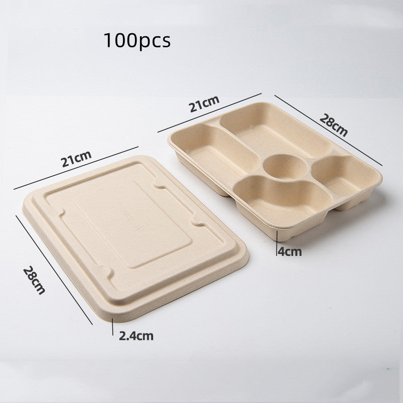 Eco-Friendly Biodegradable Compartmentalized Trays for Sustainable Living