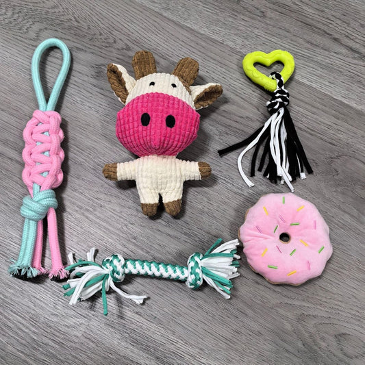 Dog Rope Toy Set – Assorted Colors for Chewing and Tugging pack of 5