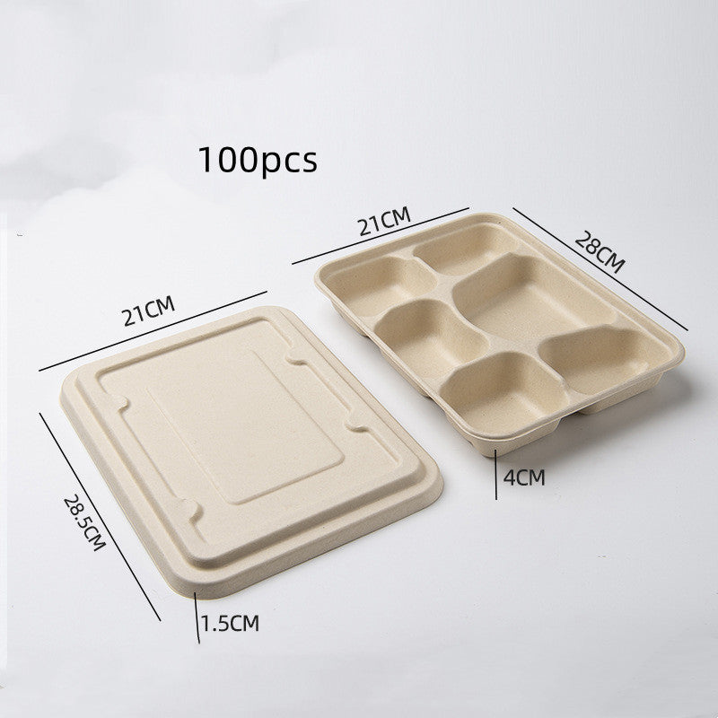 Eco-Friendly Biodegradable Compartmentalized Trays for Sustainable Living
