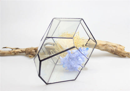 Eco-Friendly Geometric Glass Terrarium for Stylish Home Decor
