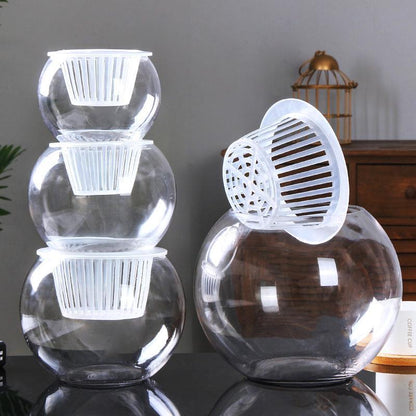 Hydroponic Plant Vase - Clear Round Glass for Soil-Free Indoor Gardening