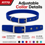 144 Pieces Adjustable Nylon Dog Collar with Metal Buckle, 2.5 x 50 cm, Assorted Color, 1 Piece