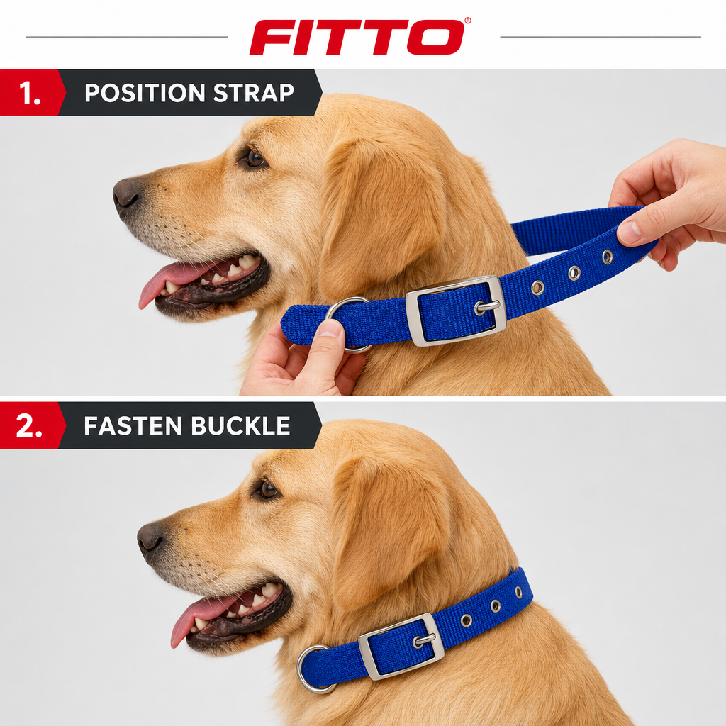 144 Pieces Adjustable Nylon Dog Collar with Metal Buckle, 2.5 x 50 cm, Assorted Color, 1 Piece