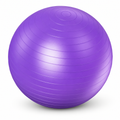 96 Pieces Exercise Ball for Fitness and Yoga, Purple PVC Core Training Ball, 55cm, 2mm, 330 lb Capacity
