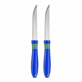 120 Pieces Kitchen Knives 4 Inch with Plastic Handle, Blue and Silver, 2 Pieces