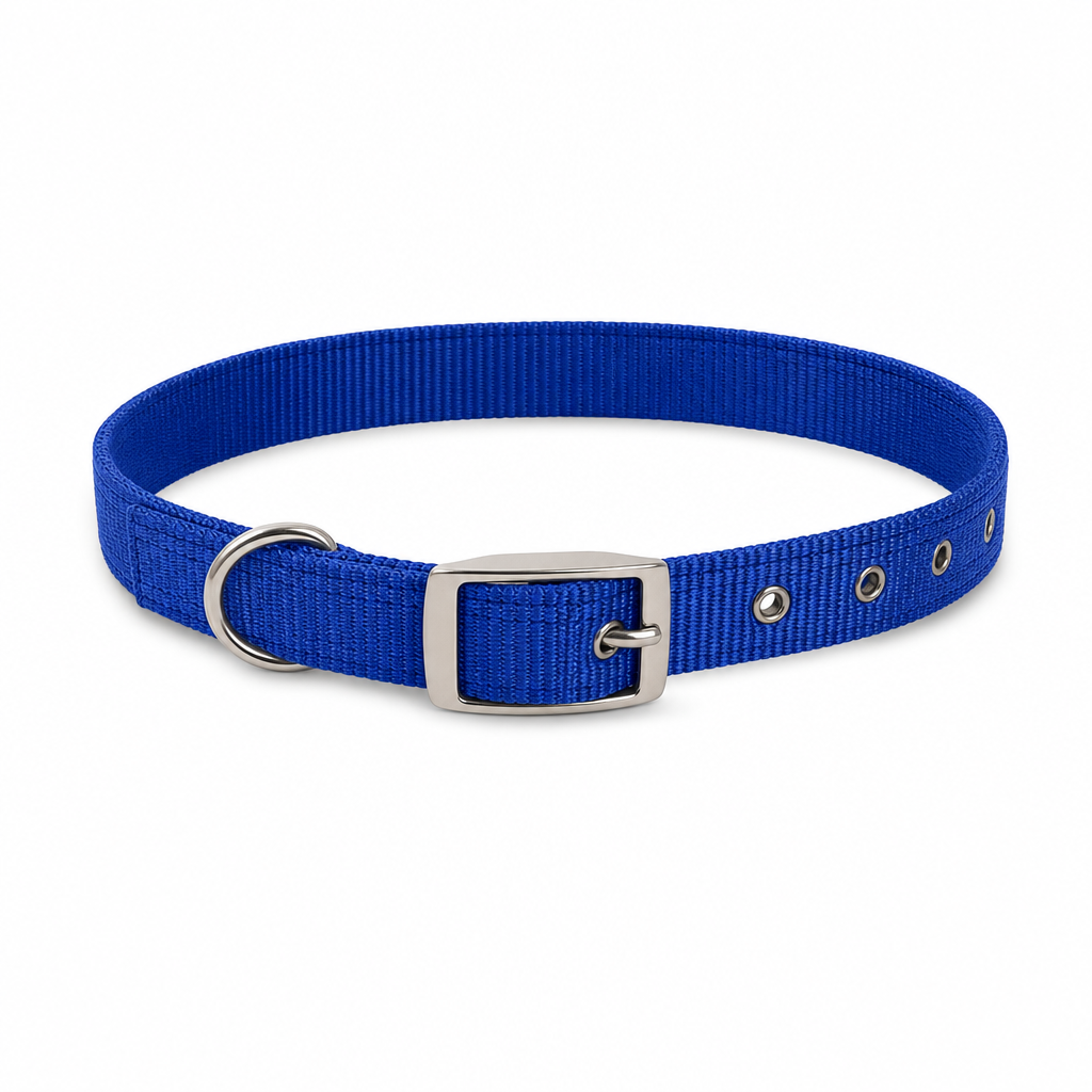 144 Pieces Adjustable Nylon Dog Collar with Metal Buckle, 2.5 x 50 cm, Assorted Color, 1 Piece