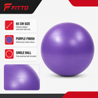 72 Pieces Exercise Balls for Fitness and Yoga, 65 cm, Purple