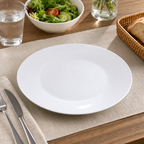 96 Pieces Opal Dinner Plate, 10.5 Inch, White Round Tablewares