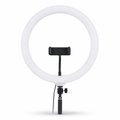 72 Pieces LED Ring Fill Light with Phone Holder and Multiple Color Temperatures for Video, Photos and Content Creation