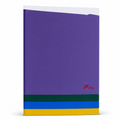 240 Pieces A4 Plastic Document Folder, Assorted Colour, 1 Piece