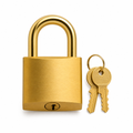 240 Pieces Gold-Plated Padlock with Keys, 5 cm, Gold, 1 Set