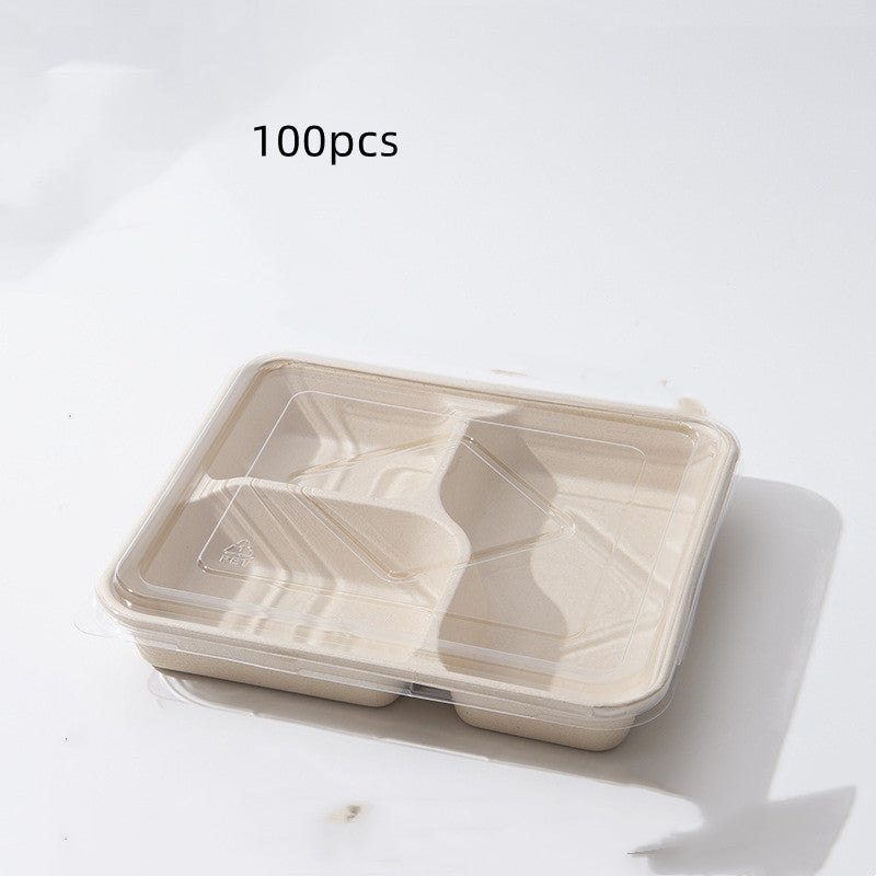 Eco-Friendly Biodegradable Compartmentalized Trays for Sustainable Living