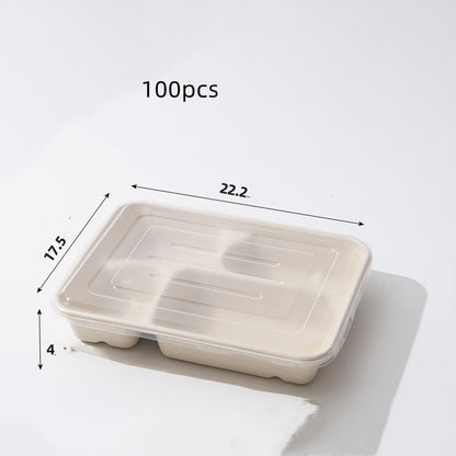 Eco-Friendly Biodegradable Compartmentalized Trays for Sustainable Living